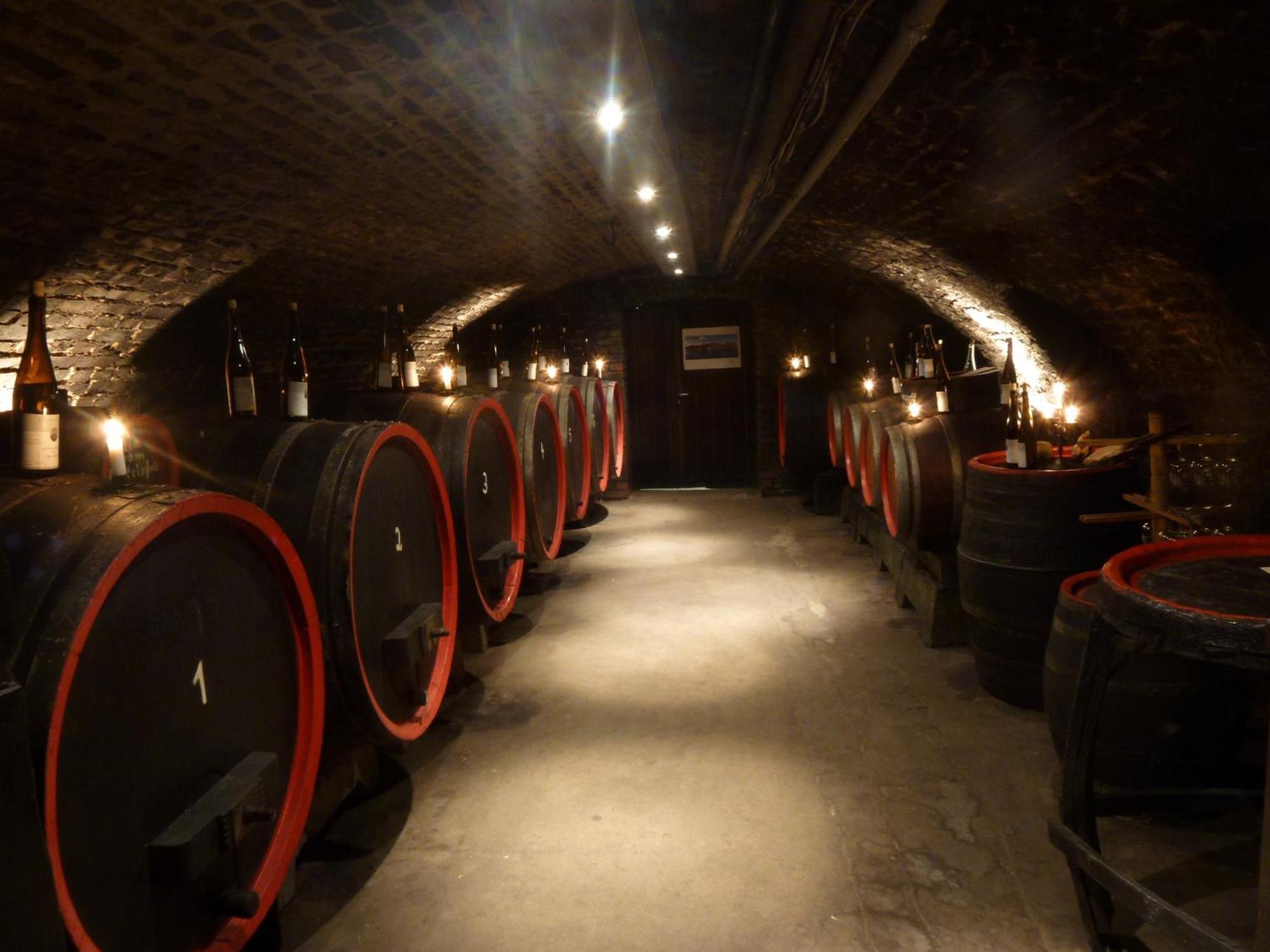 Gasthaus Weingut Stahl Oberwesel Exteriér fotografie
