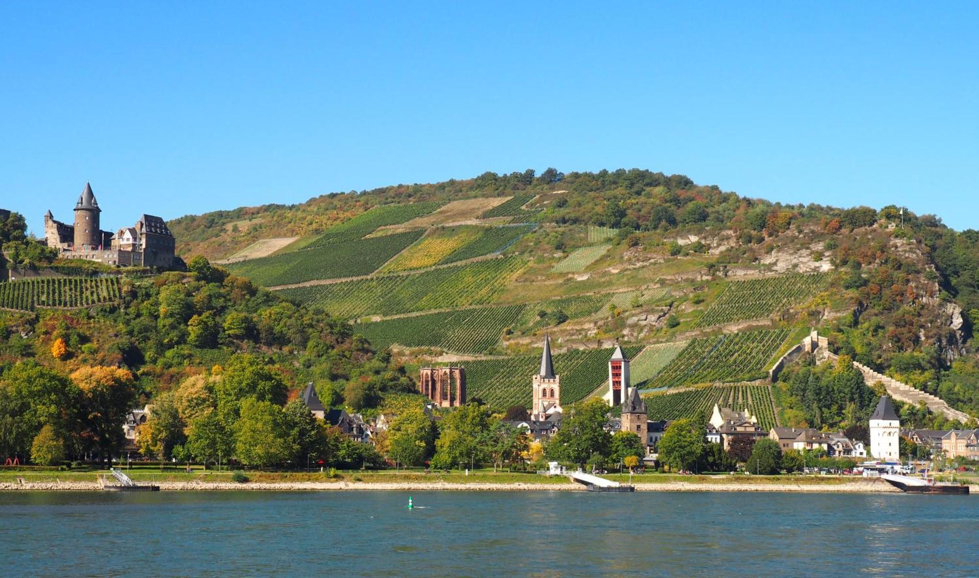 Gasthaus Weingut Stahl Oberwesel Exteriér fotografie