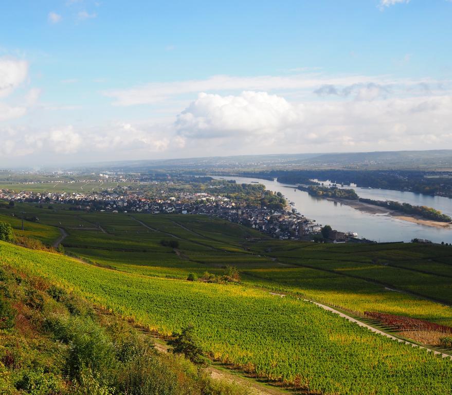 Gasthaus Weingut Stahl Oberwesel Exteriér fotografie